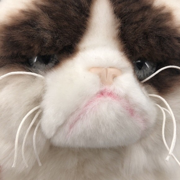 Gund Grumpy Cat Plush Stuffed Animal Sitting Gray Grey Eyes Siamese Himalayan 9" - Picture 2 of 9